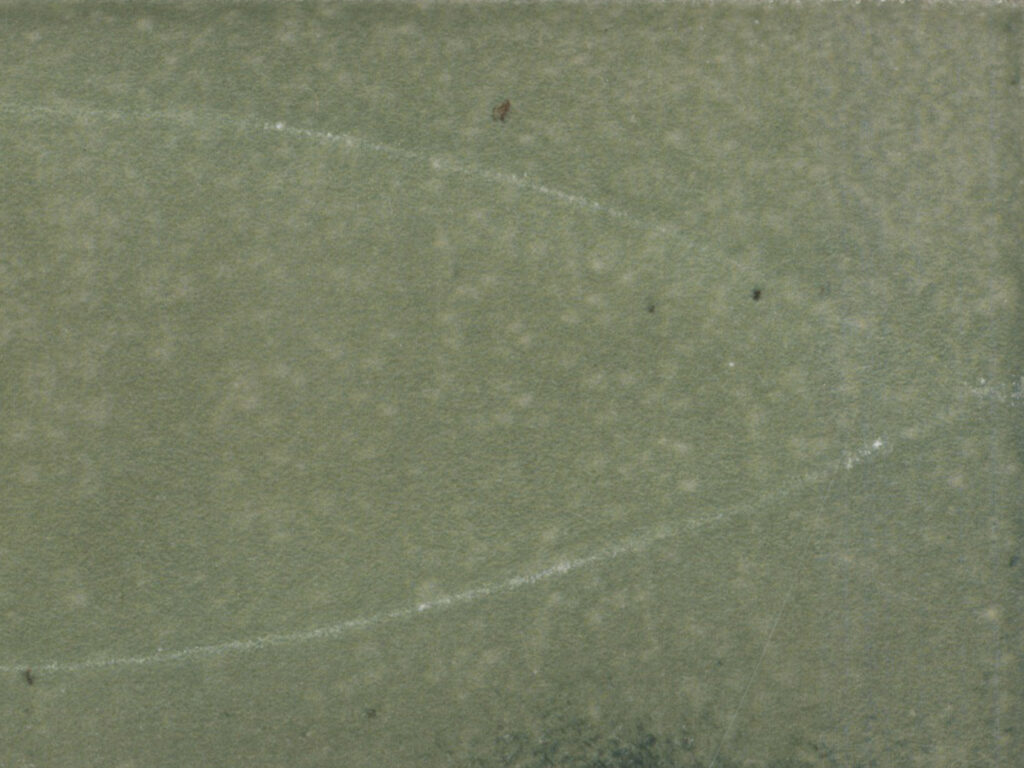 Gleeze Giada/Green